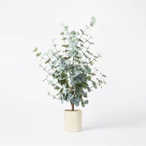 Studio McGee Large Eucalyptus Leaf in Pot - Threshold